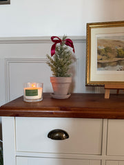 Terracotta Plant Pot & Saucer