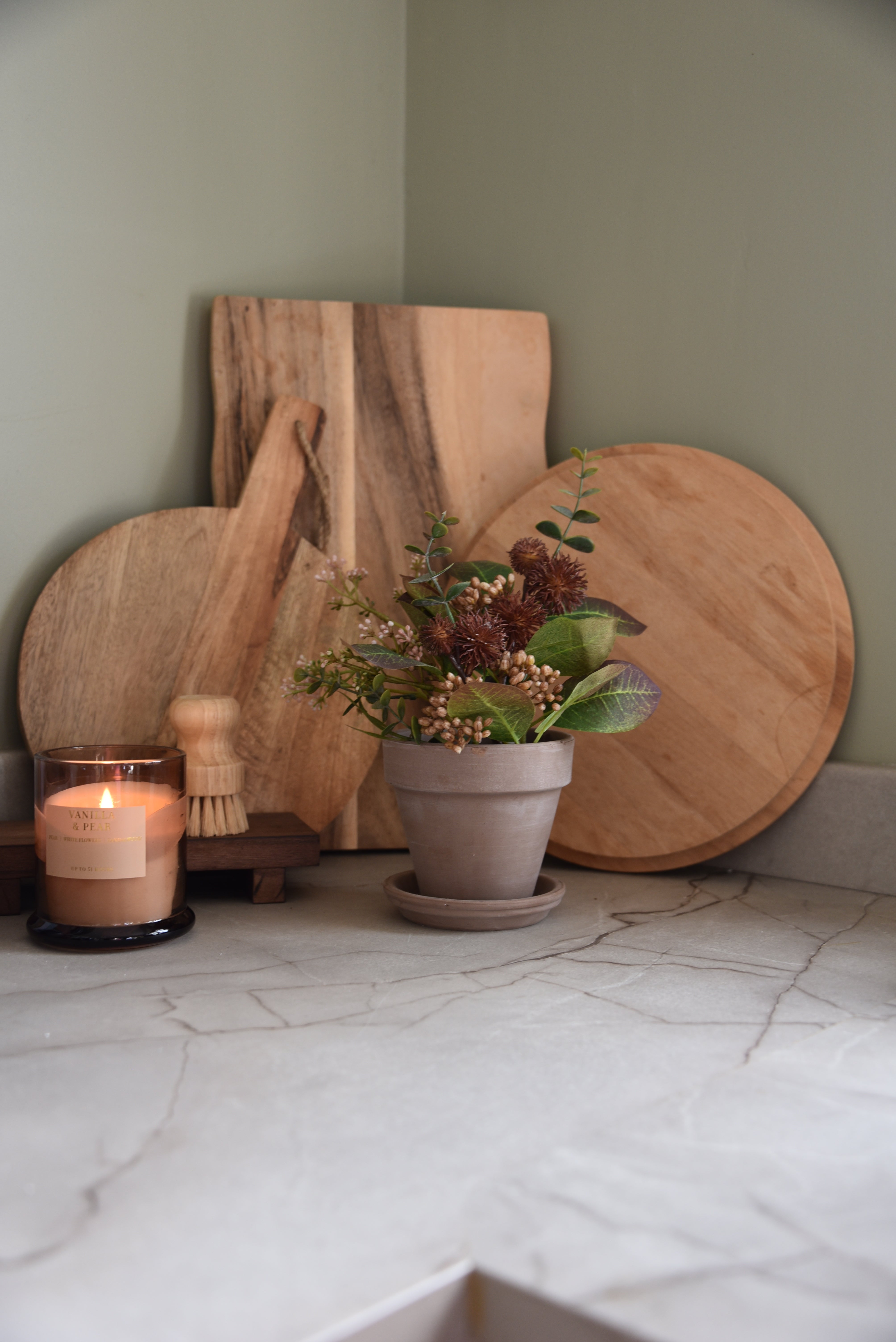 Terracotta Plant Pot & Saucer