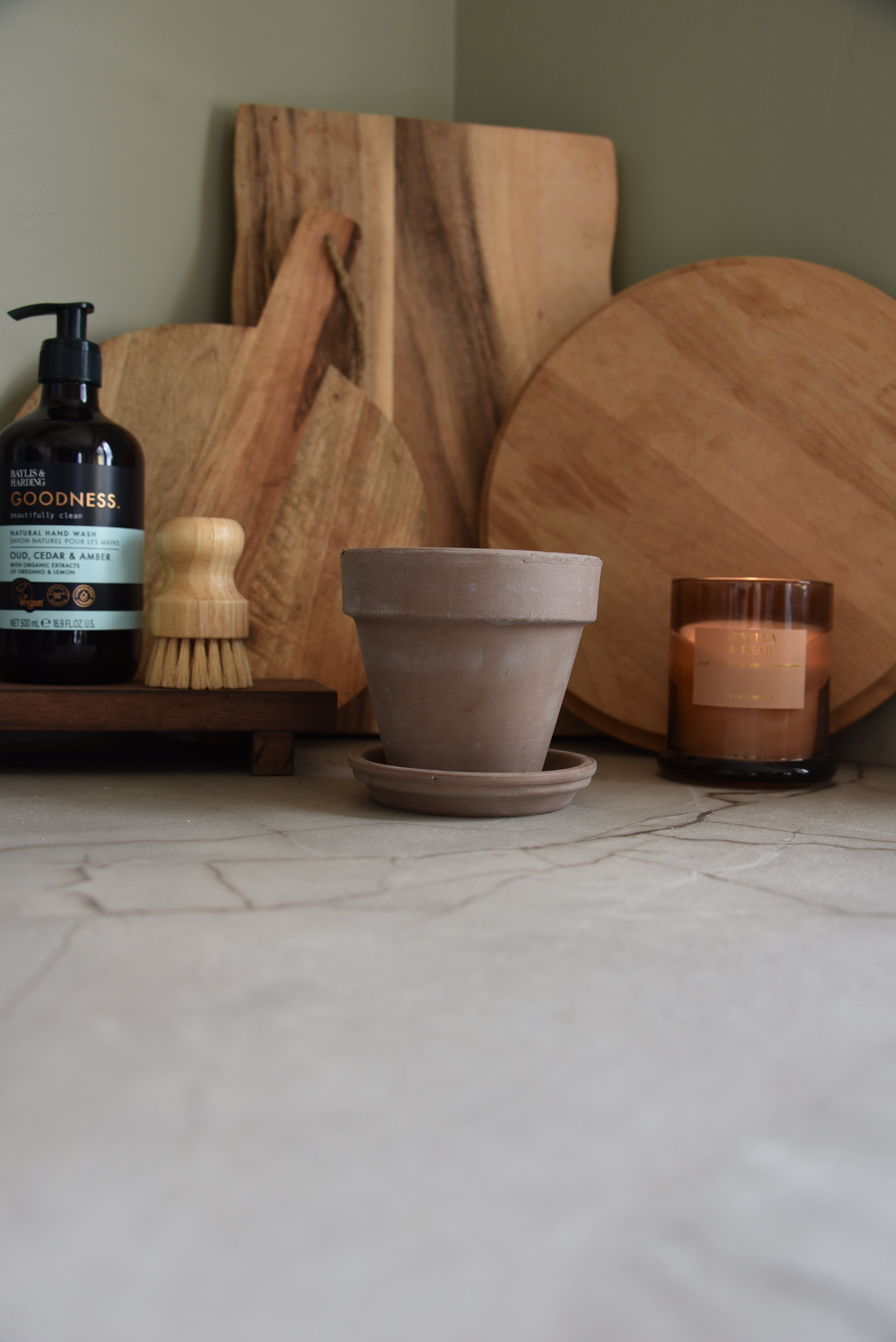 Terracotta Plant Pot & Saucer