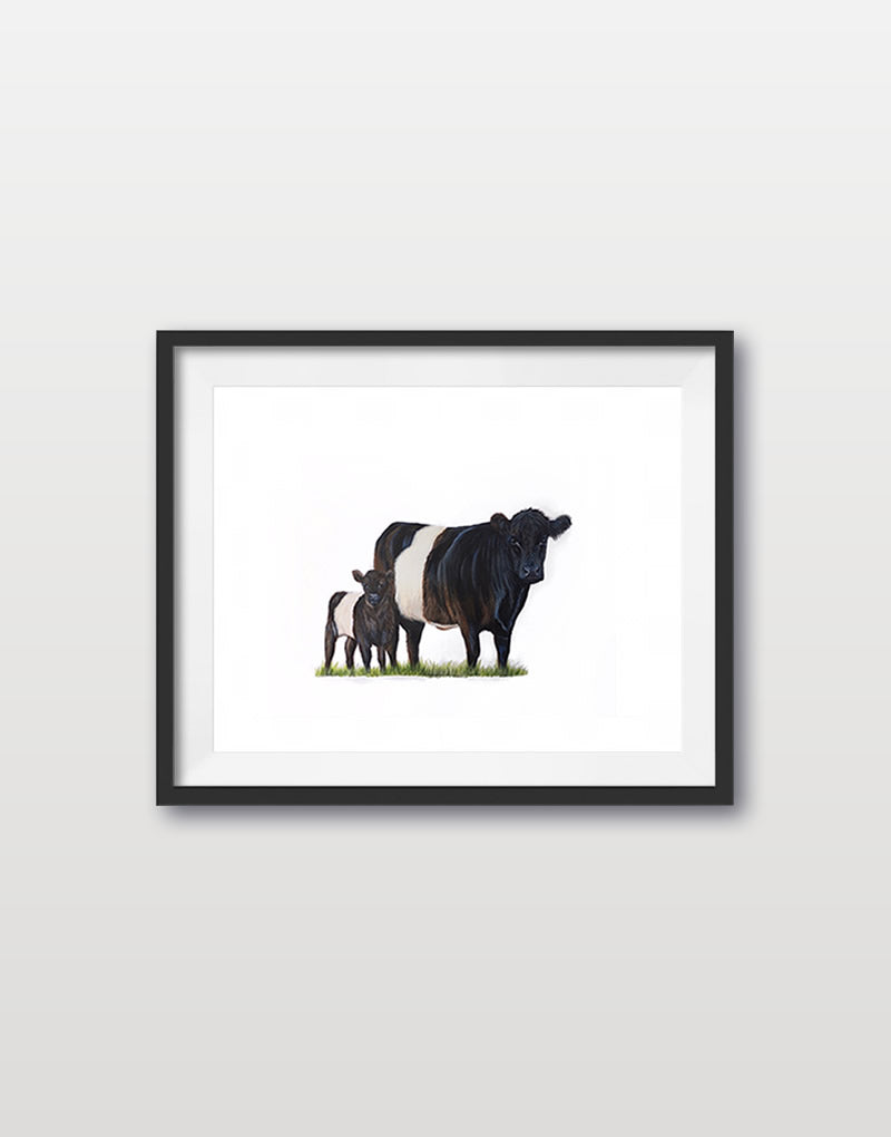 Belted Galloway Cow and Calf - Original Acrylic Painting