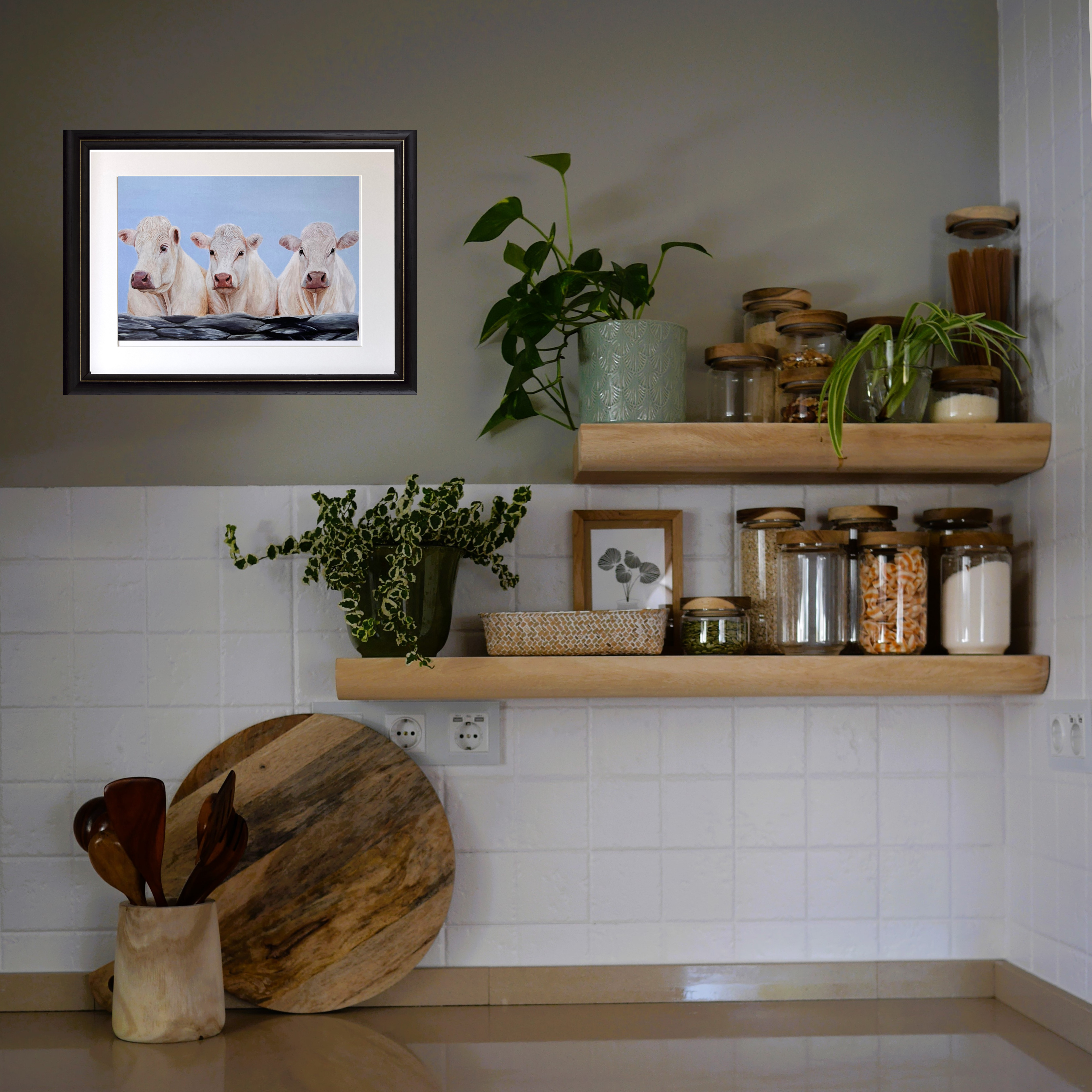 Charolais Cows Print