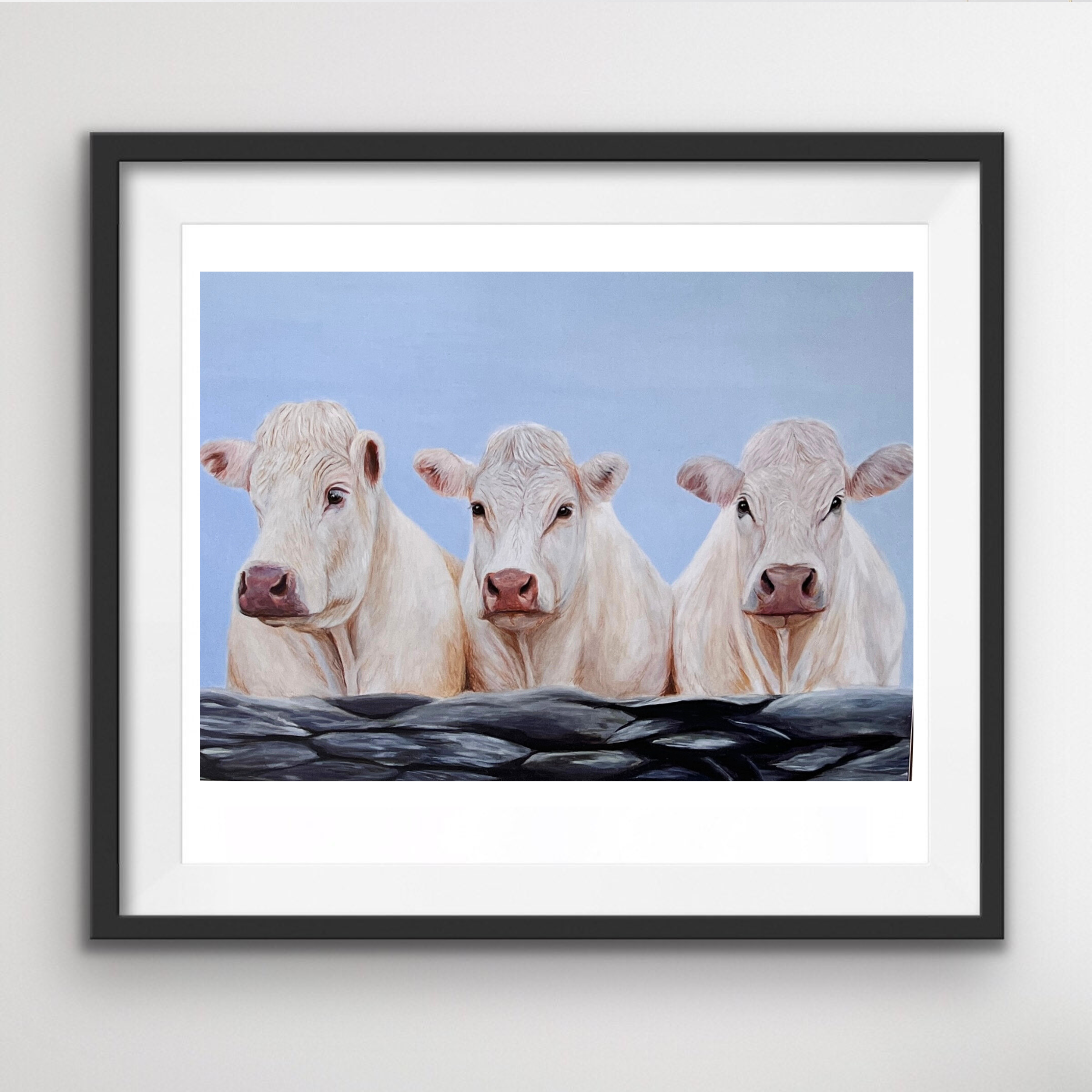 Charolais Cows Print