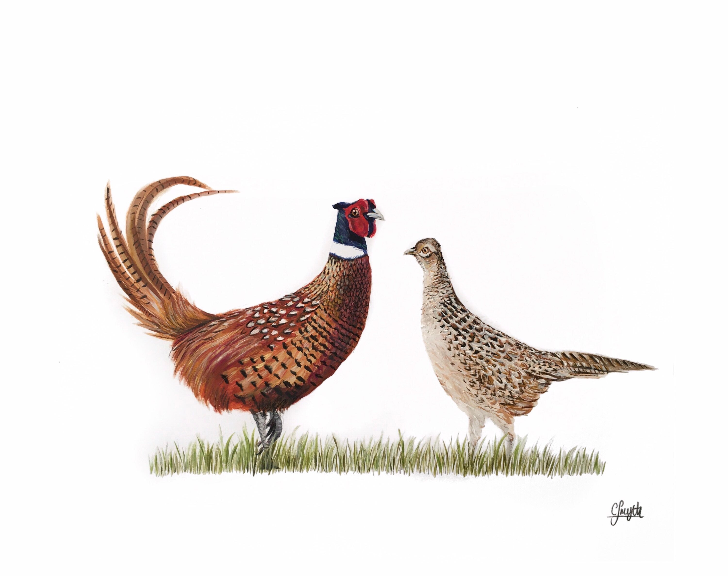 'Jolly Brace' Pheasant Print