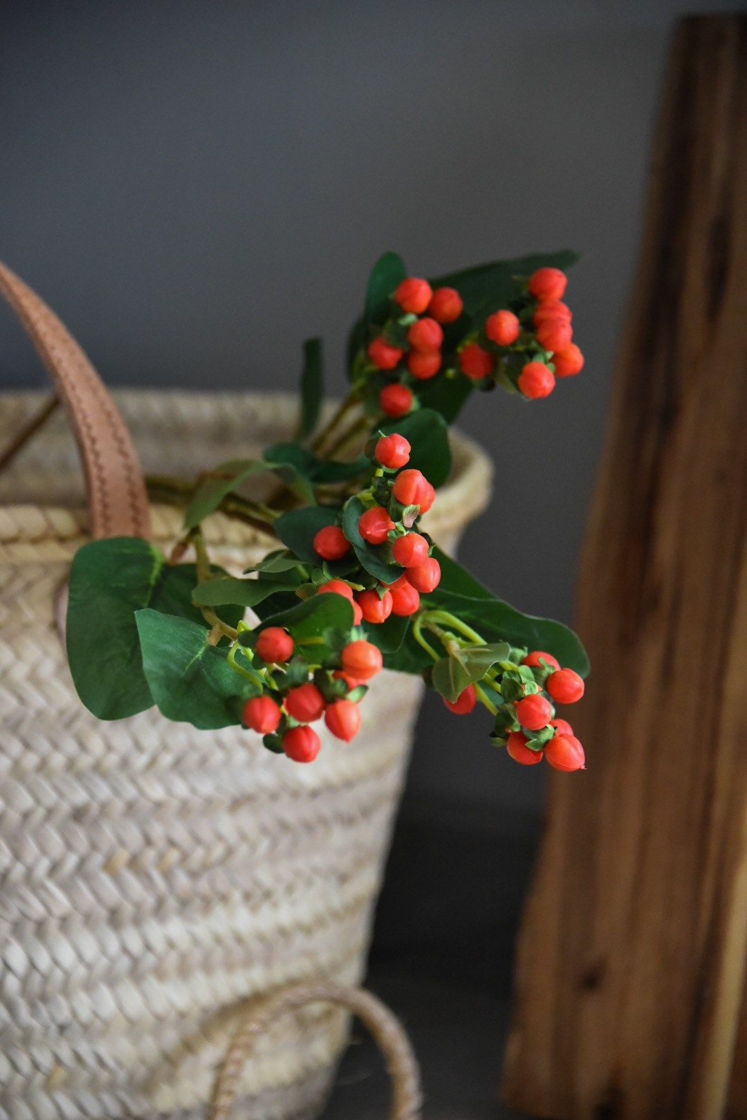 Red and Orange Hypericum Berries with Green leaves