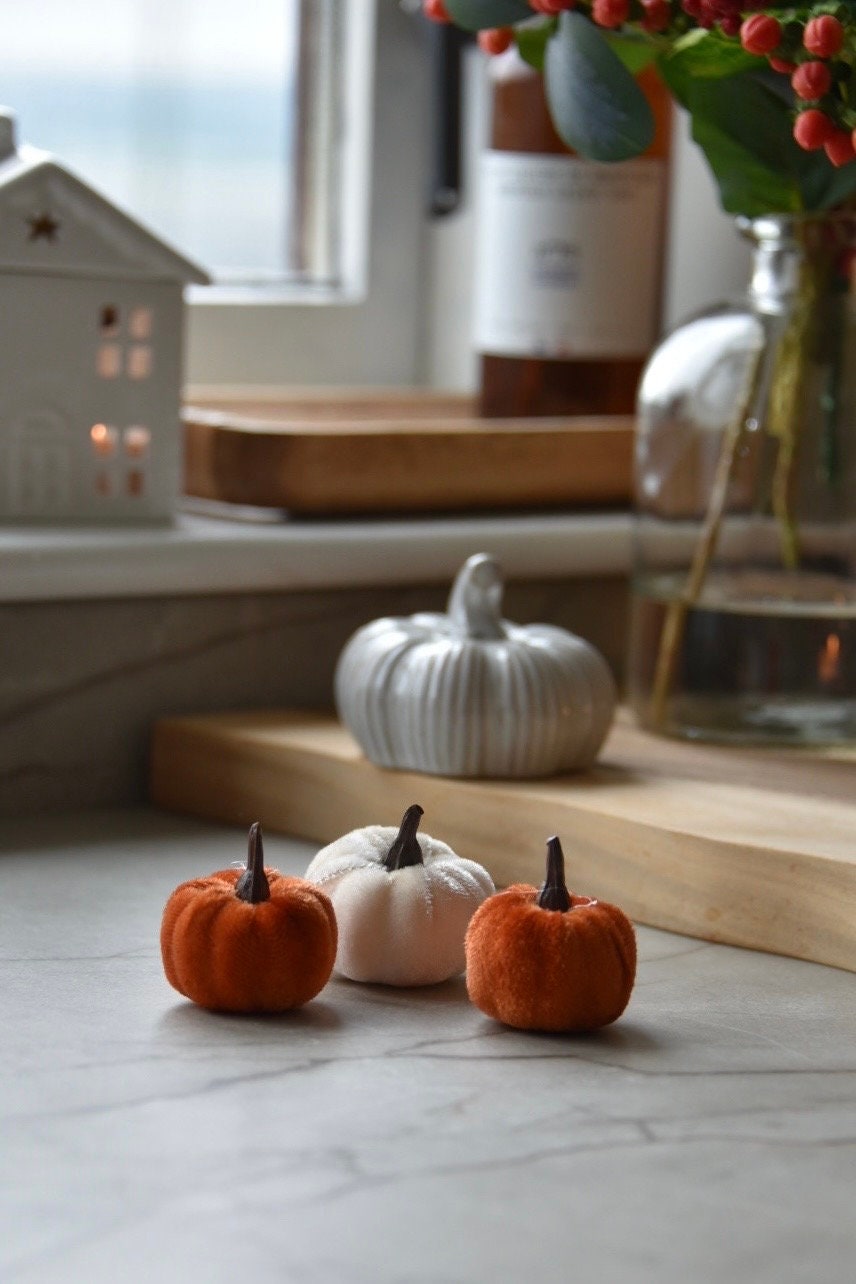 Velvet Pumpkins
