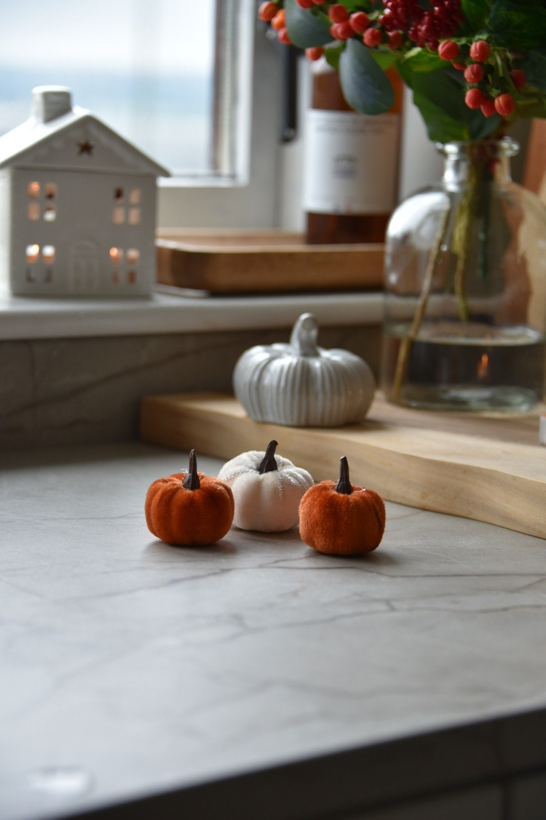 Velvet Pumpkins