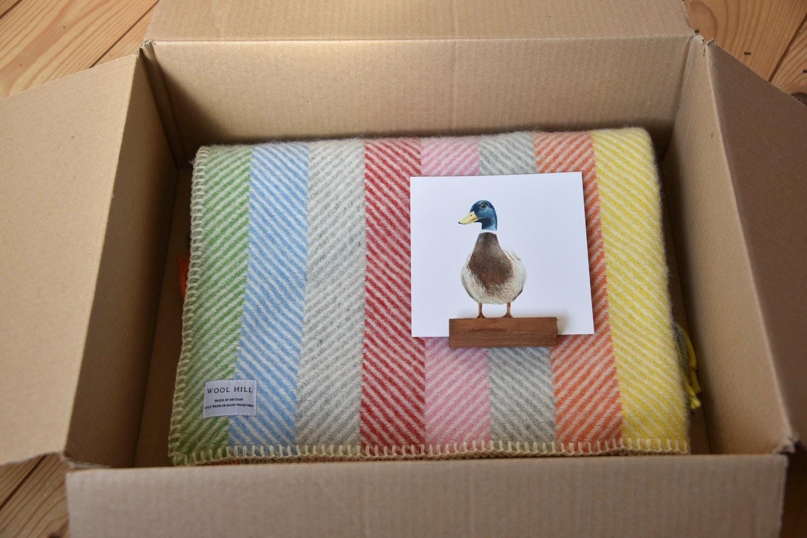 Pastel Stripe Wool Baby Blanket Gift Set