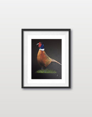 Majestic Pheasant Original Painting
